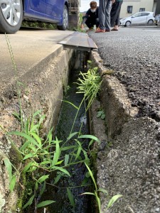 奈良県橿原市西池尻町溝蓋補修工事